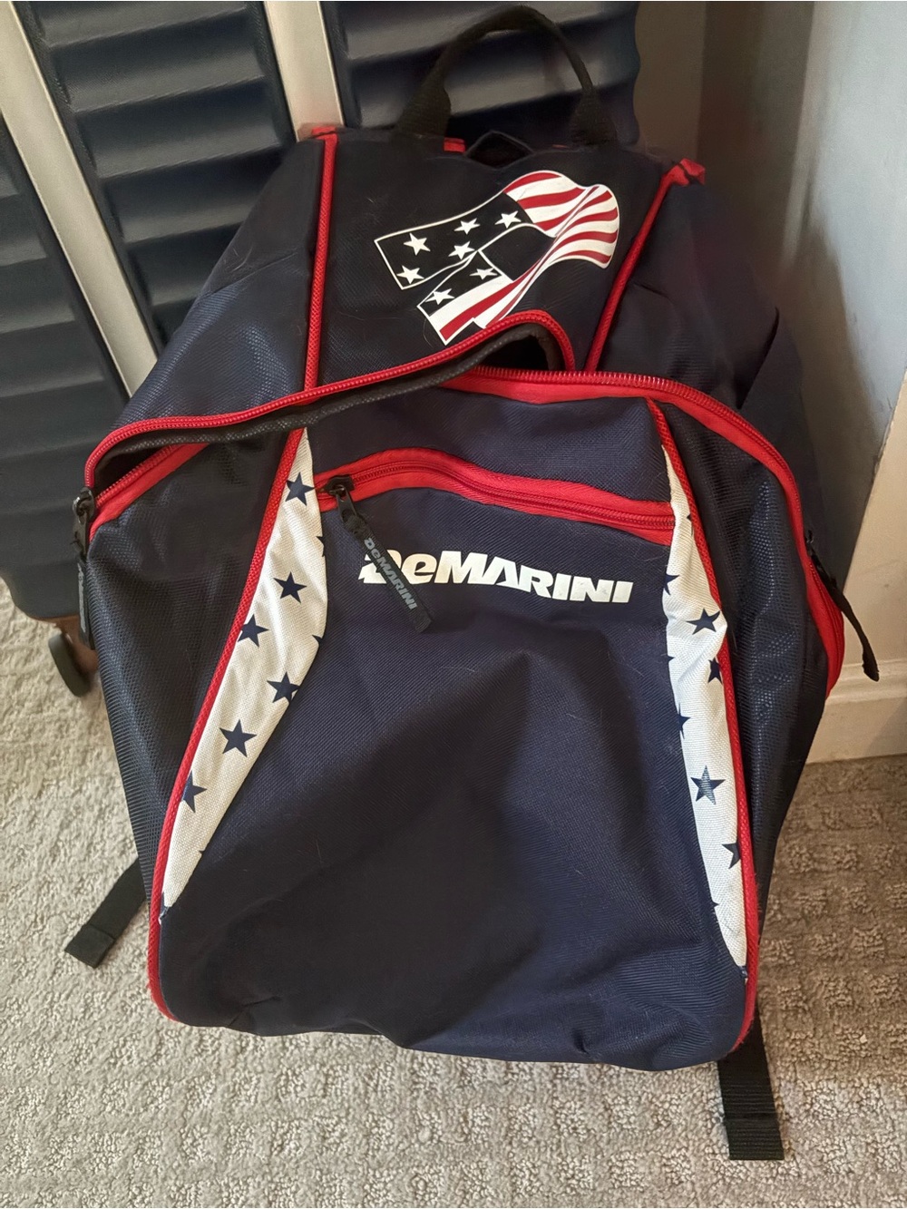 DeMarini Baseball Bag